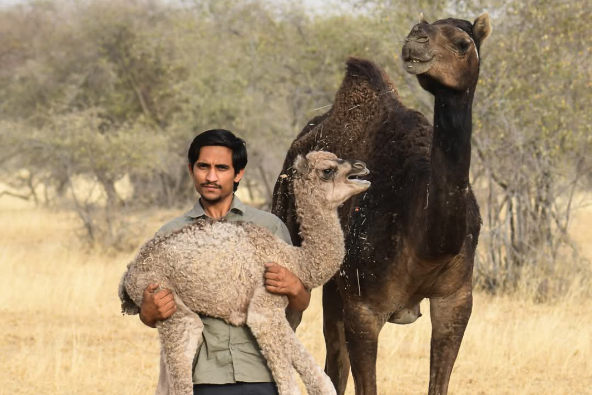 Who is conservationist Radheshyam Bishnoi, why his death is a loss for Rajasthan wildlife