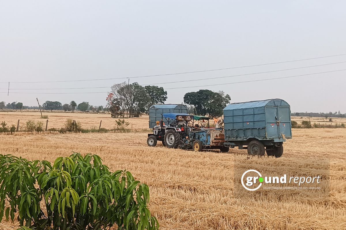 Low price, bad wheat procurement process angers farmers in Bhopal