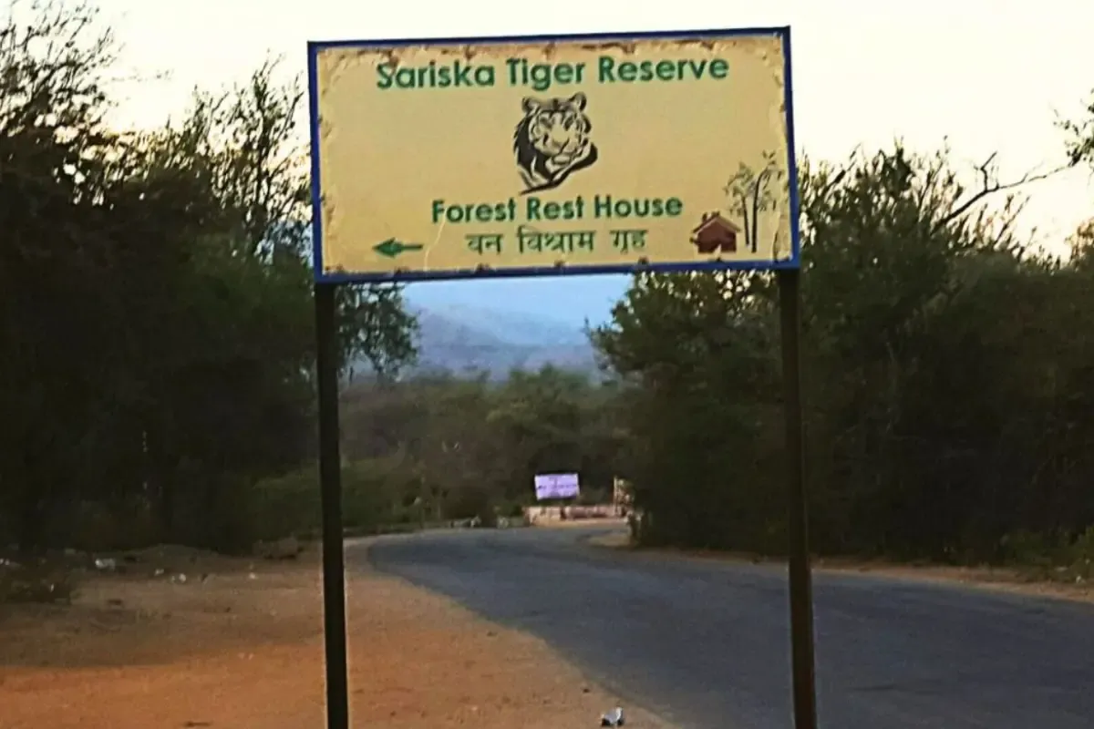 सरिस्का टाइगर रिज़र्व के नज़दीक जारी खनन गतिविधियों पर कोर्ट ने लगाई रोक