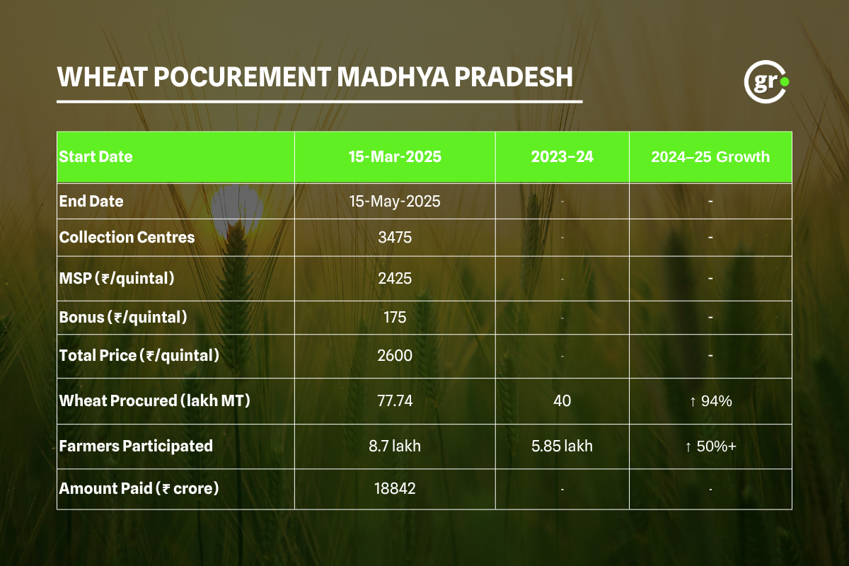Wheat Boom in Madhya Pradesh 1010