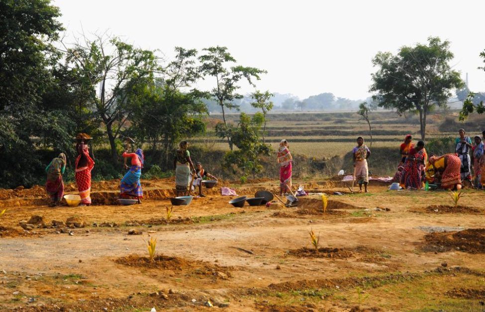 In MGNREGA, misappropriation of Rs 935 crore in last four years
