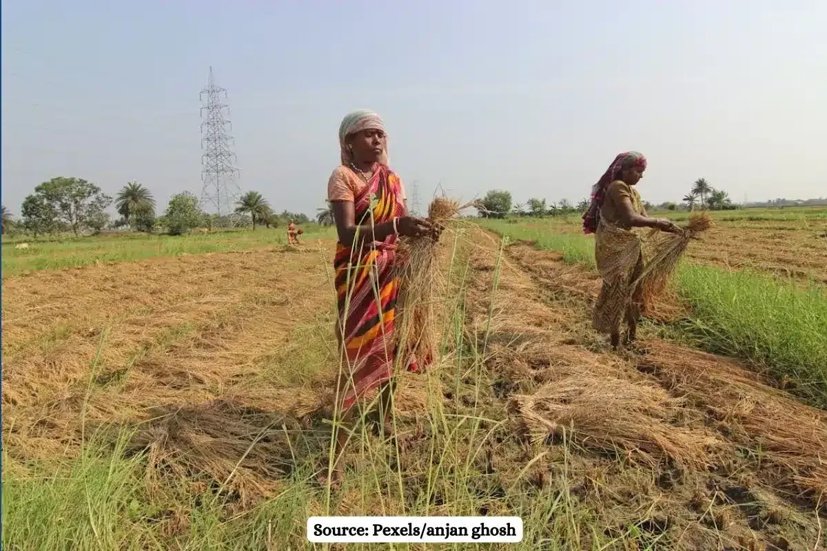 Maharashtra's Beed women opting for hysterectomy to keep working