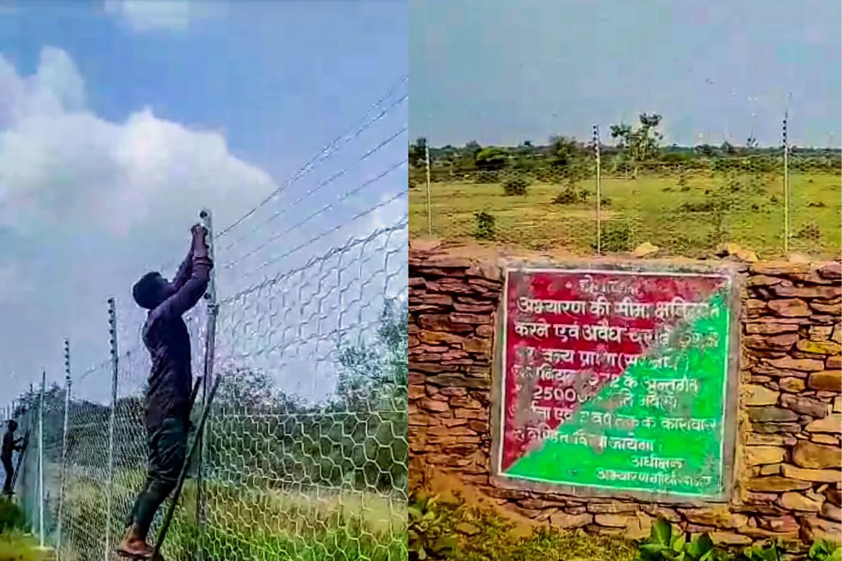Cheetah Project at Gandhi Sagar