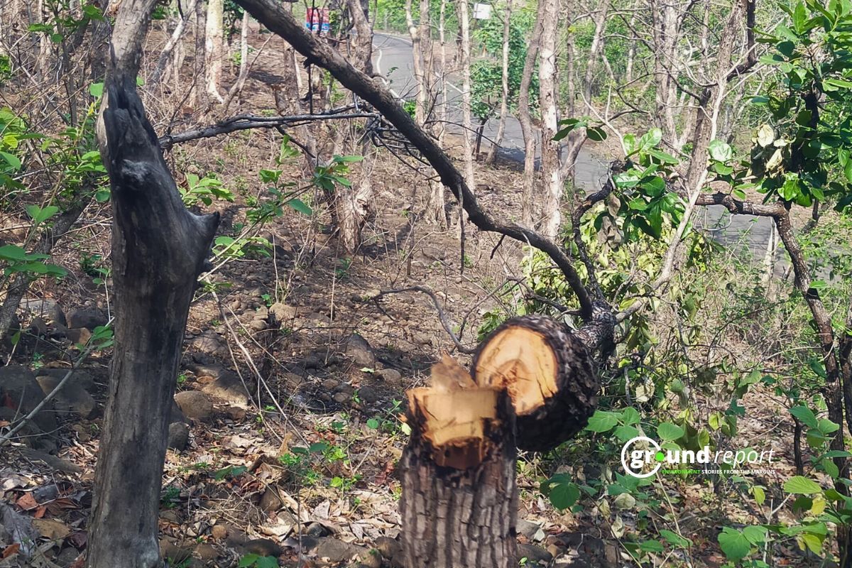 Environmental activist exposes systematic destruction at Kerwa Dam