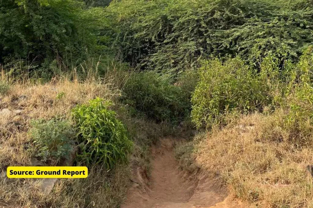 sanjay van delhi