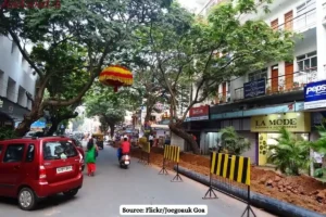 SC rejects EIA exemption for roads, pipelines, citing environmental concerns