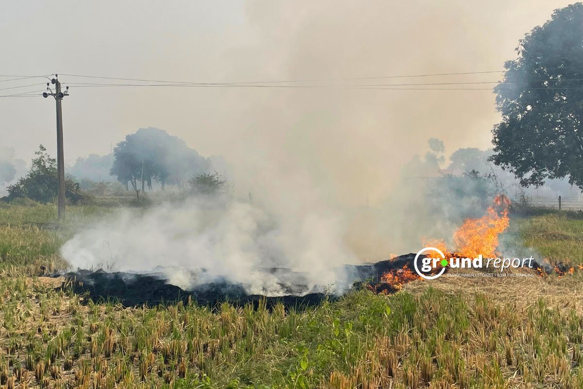 Madhya Pradesh sets record; Sheopur leads with 2,506 stubble fires