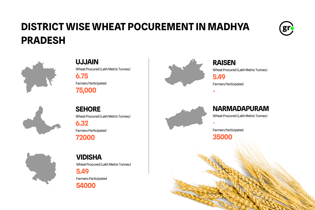 Wheat Boom in Madhya Pradesh 1010111212