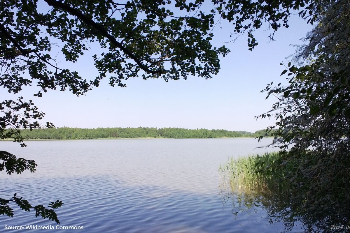 Climate crisis: 2023 to record third warmest May in 174 years