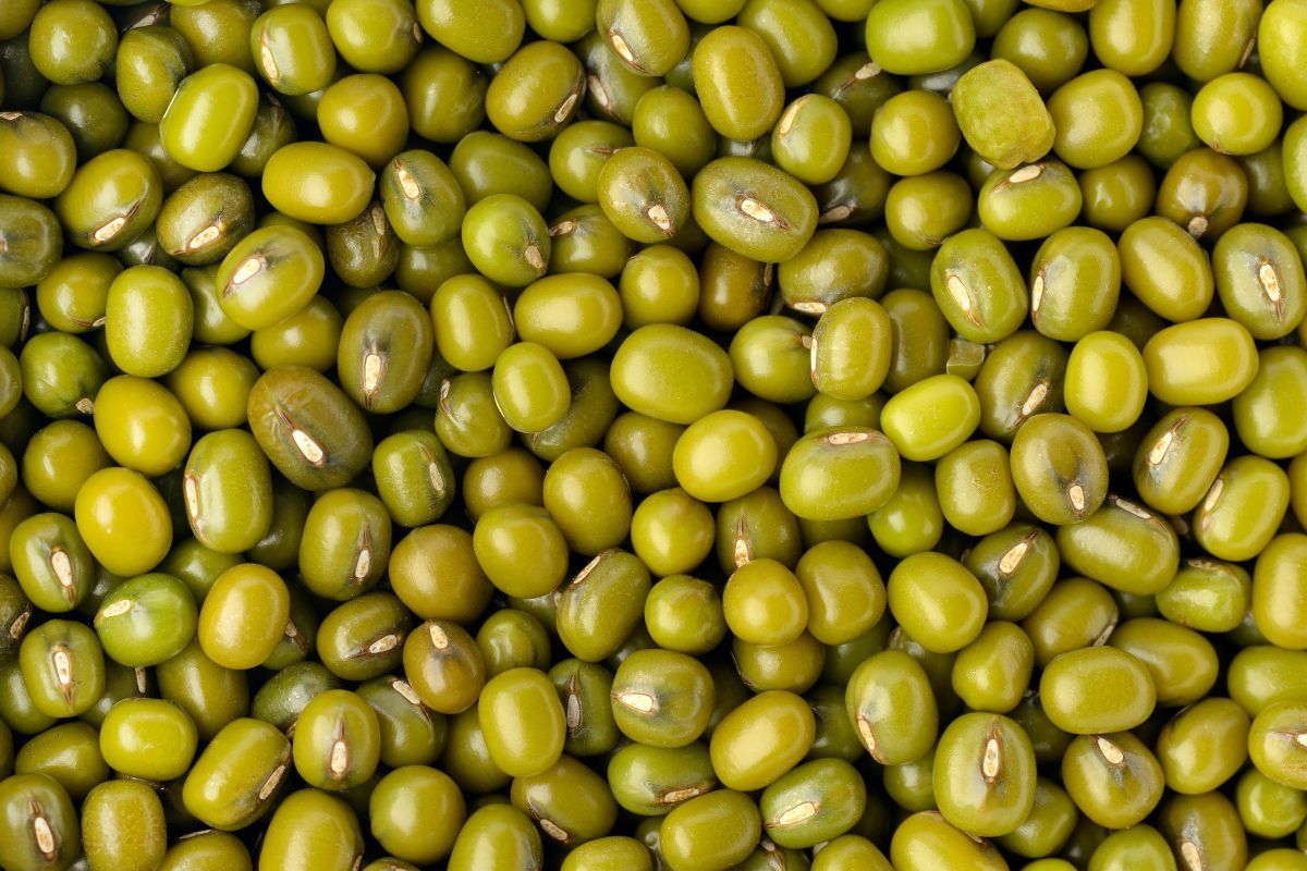 मध्यप्रदेश में मूंग खरीद को लेकर किसान क्यों था सरकार से नाराज़?