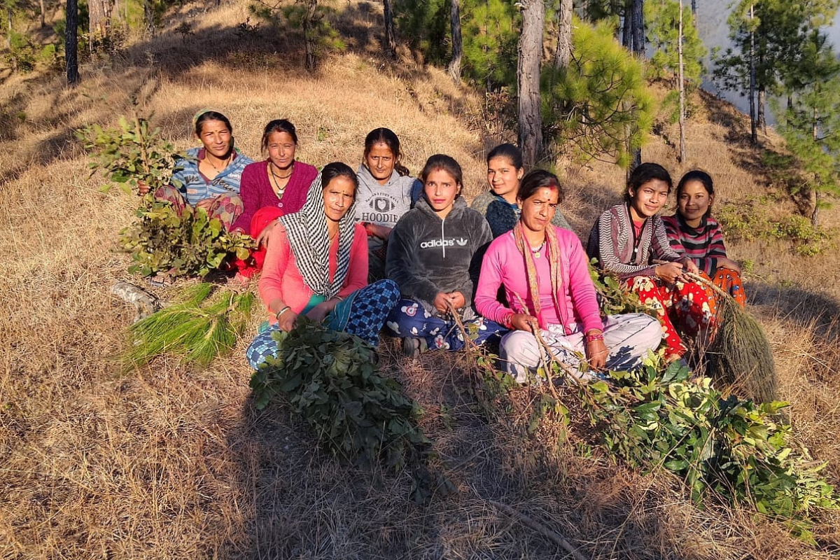 उत्तराखंड में शीतलाखेट मॉडल की मदद से जंगलों को आग से बचा रही हैं महिलाएं