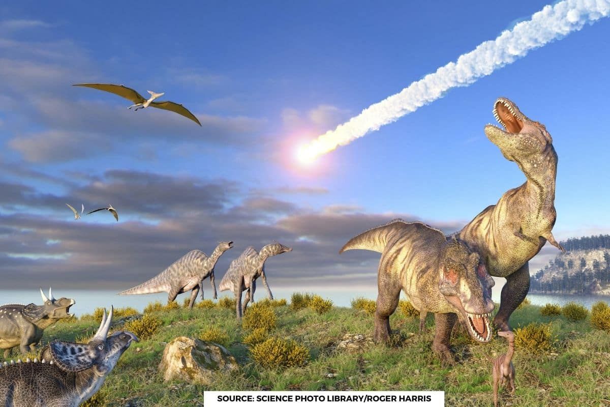 What killed dinosaurs? It could not have just been a meteorite