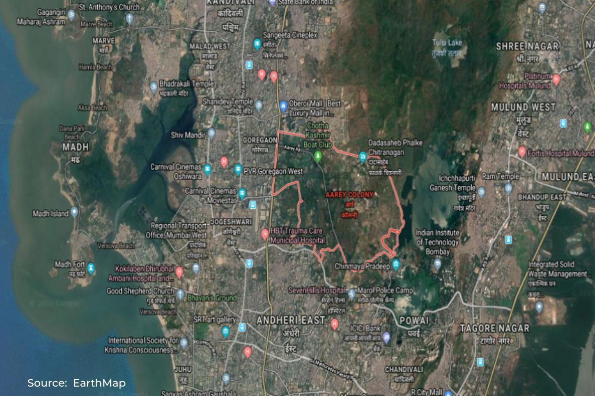 Why SC allowed govt to remove 177 trees from Aarey forest?