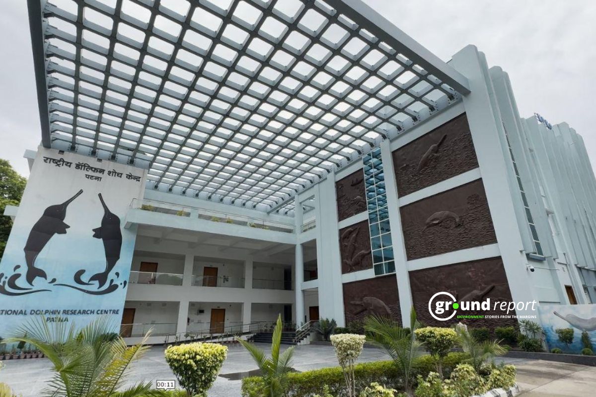 Bihar’s Neglect May Undermine Gangetic Dolphin Conservation Efforts