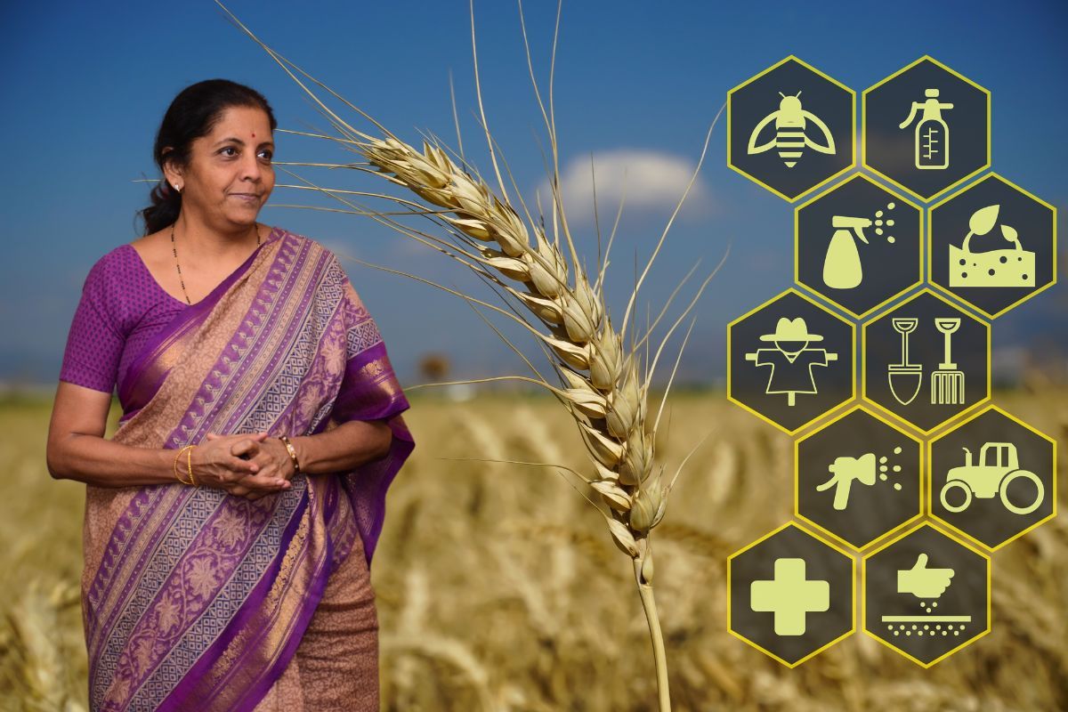Budget 2024: FM allocates ₹1.52 Lakh crore for agriculture, 109 new crop varieties
