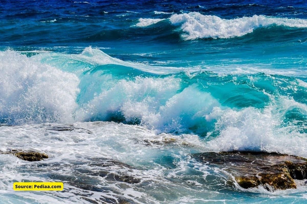 How ocean biodiversity will be affected by global warming?