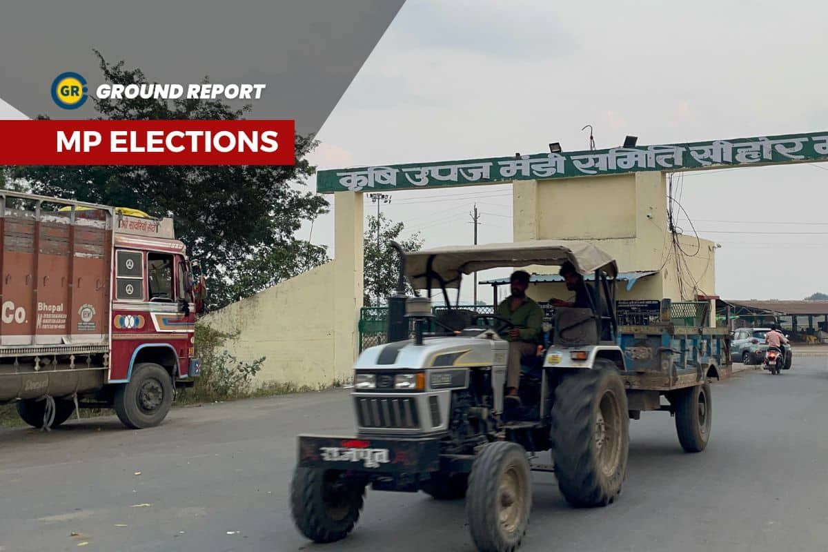 At Sehore mandi farmers neither get fair prices nor shade to sit