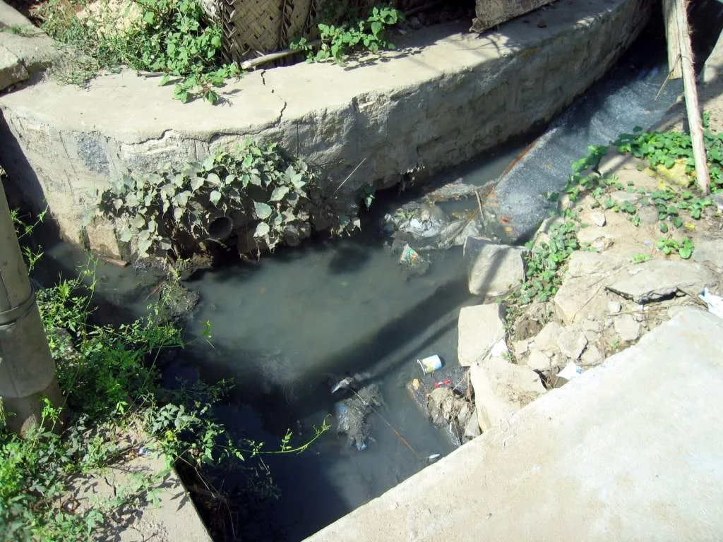 harmful bacteria in the drinking water; people dying of diarrhoea