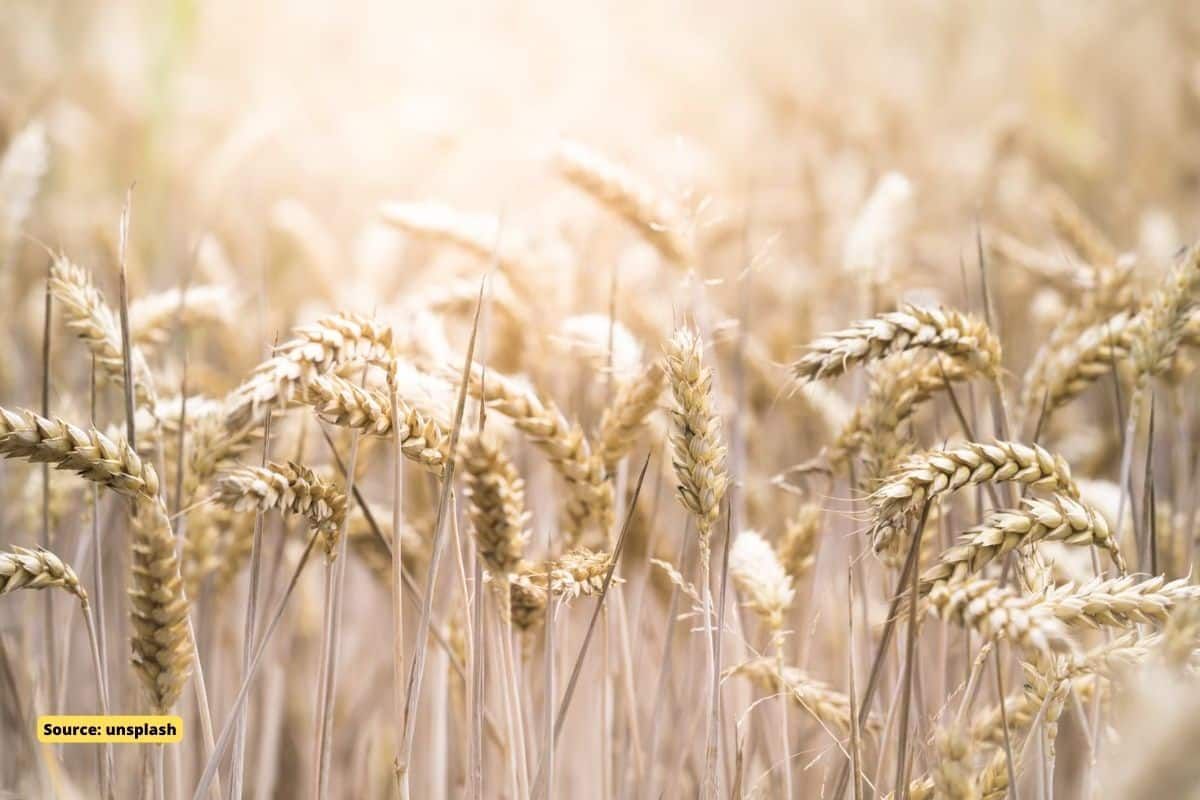 हीट स्ट्रेस के चलते बढ़ेंगी भारत में चरम मौसम घटनाएं