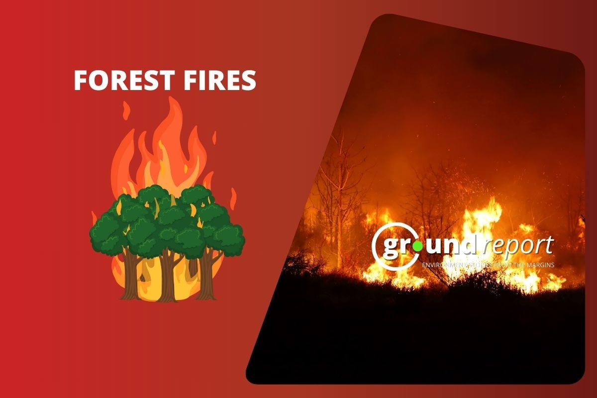 Wildfires spread across Odisha, over 12,000 fire spots recorded this year
