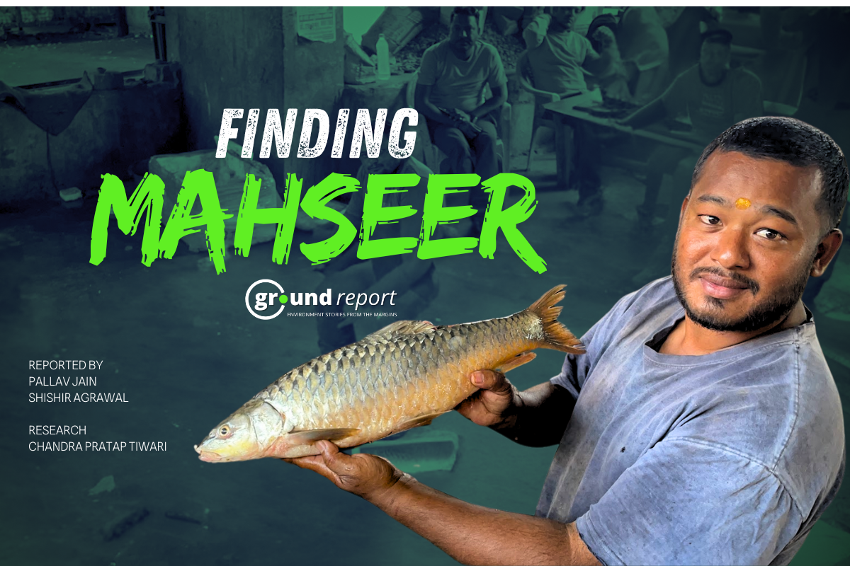 Mahseer saviors struggle as conservation funds dry up