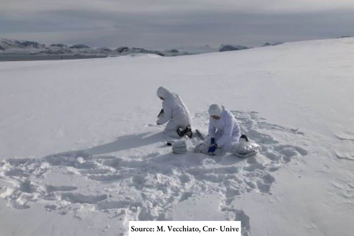 Pollution from sunscreen reaches the North Pole: Study