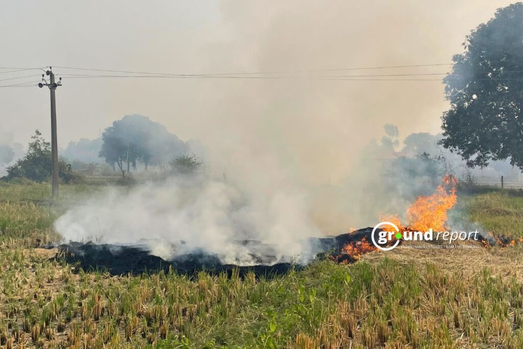Madhya Pradesh sets record; Sheopur leads with 2,506 stubble fires