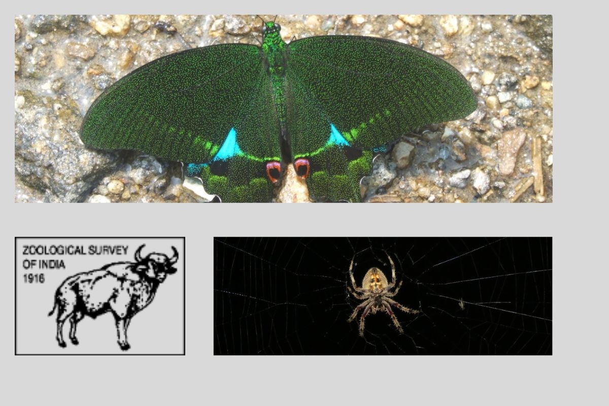 Jabalpur is the nation's first city to have zoological and geological park