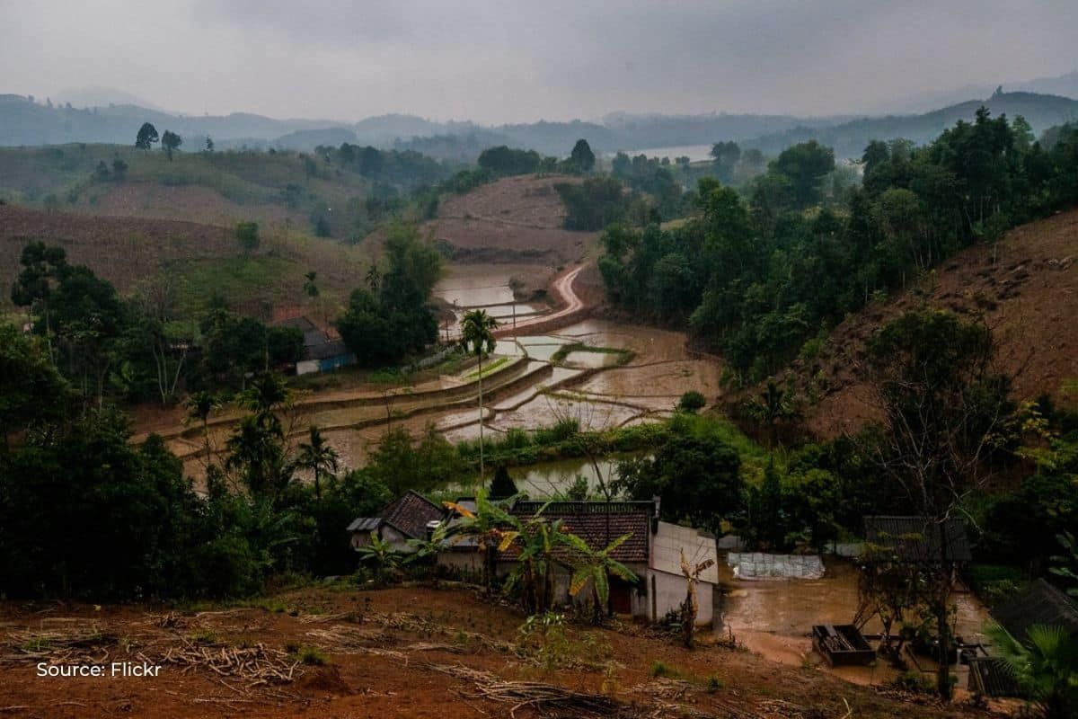 Odisha's forests, rivers, & biodiversity at risk from Climate Change