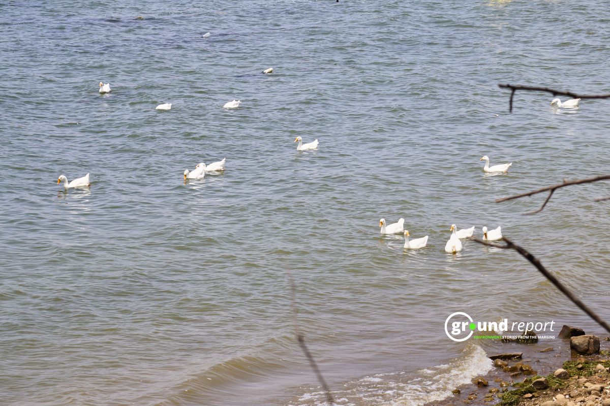 How can Bhoj wetland address the issue of microplastics123456