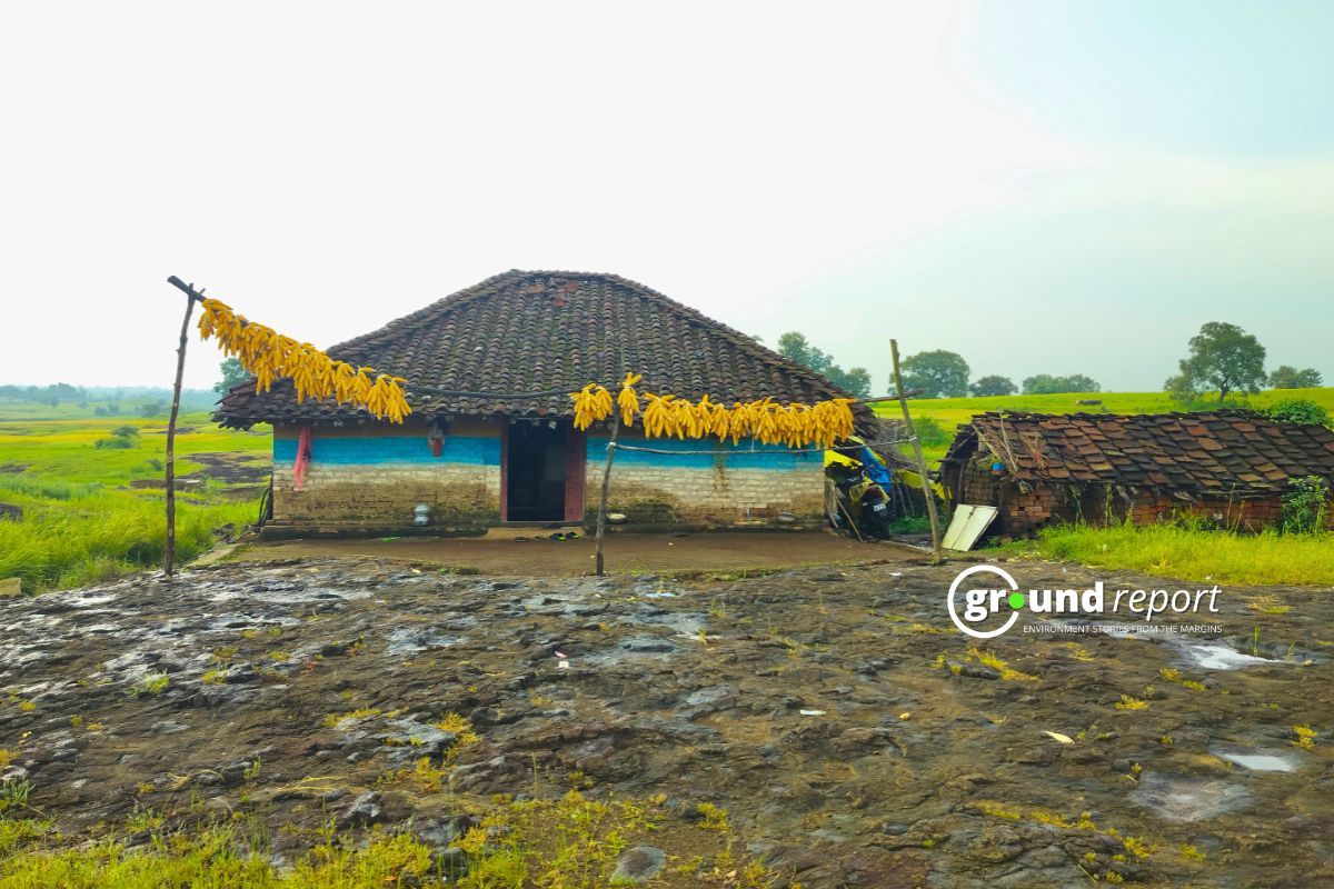 Niger seed decline in Mandla challenges India’s millet push