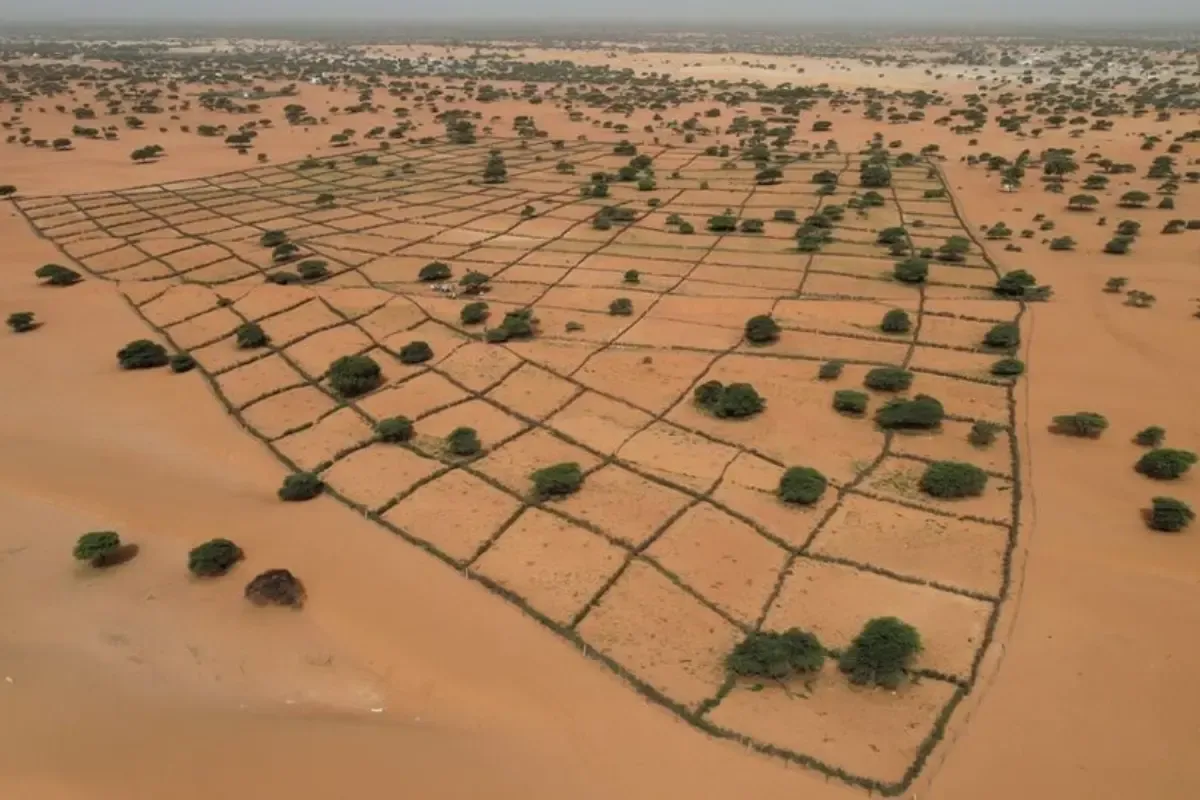 जमीन का संकट: थमती खेती, बढ़ता पलायन, खतरे में खाद्य सुरक्षा