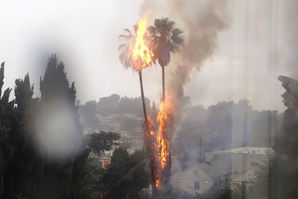 thunderstorms drench Los Angeles, causing a lightning strike fire in Echo Park near downtown