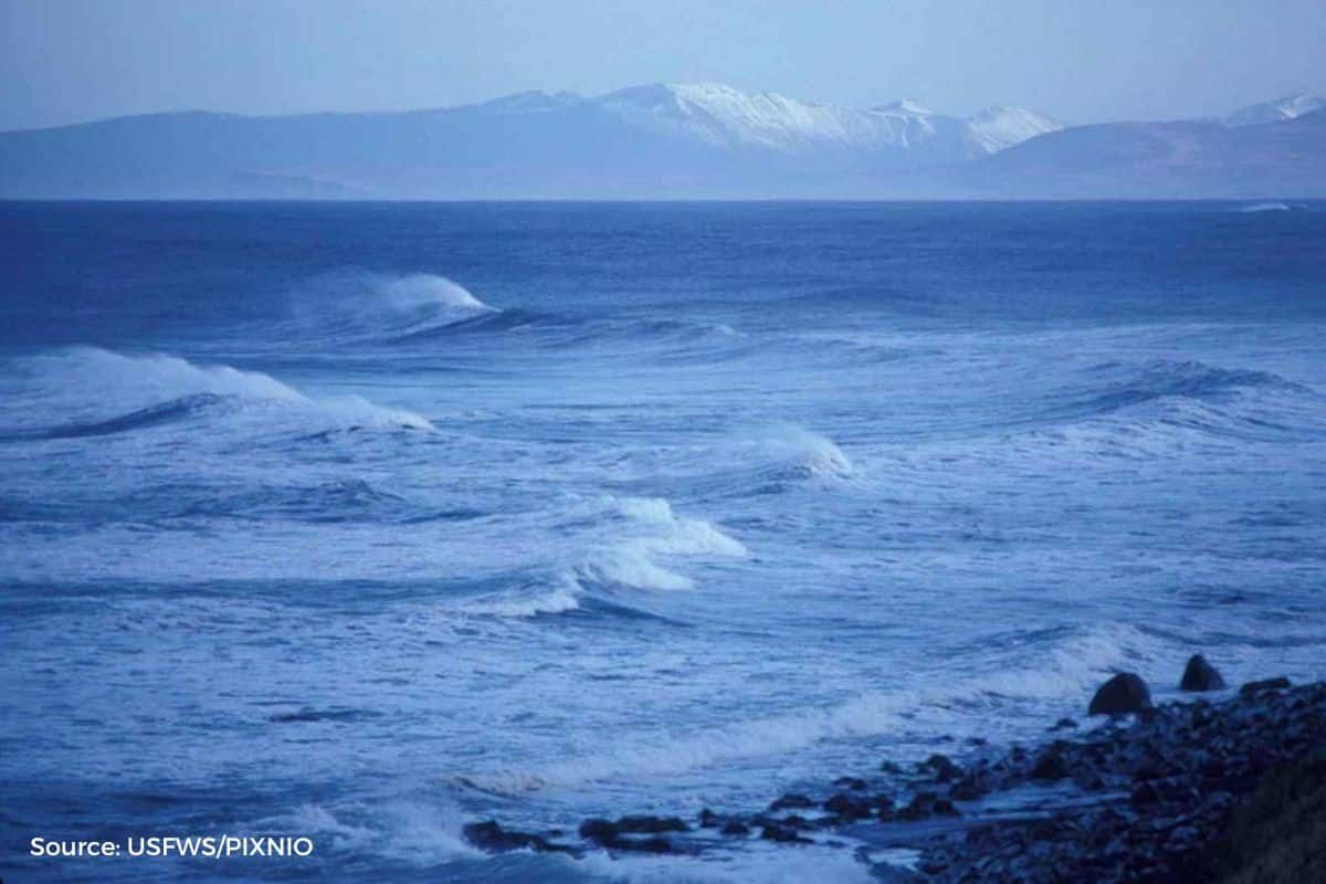 Climate change is starving the oceans of oxygen, what is the risk?