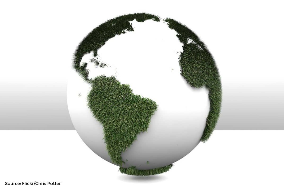 Bio-Oil: What is it and how big tech is using it to fight climate change?