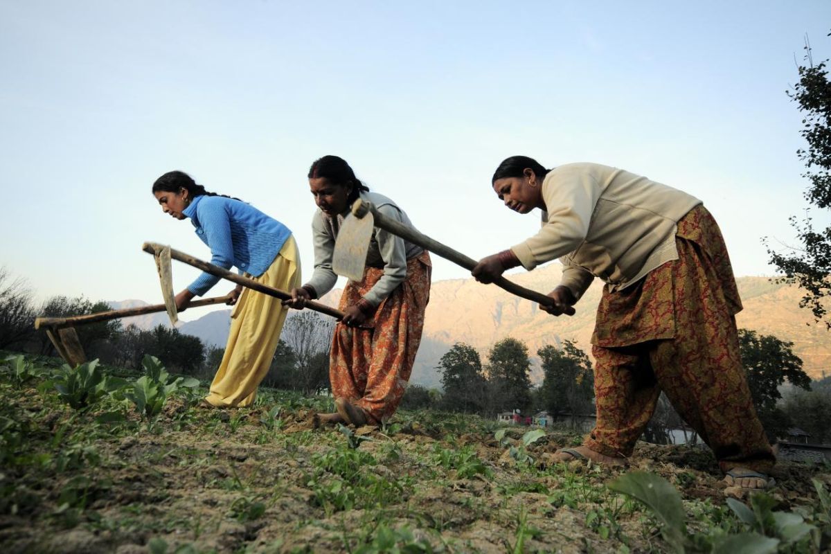 No Audit on climate change impact on women, children: Govt tells Lok Sabha