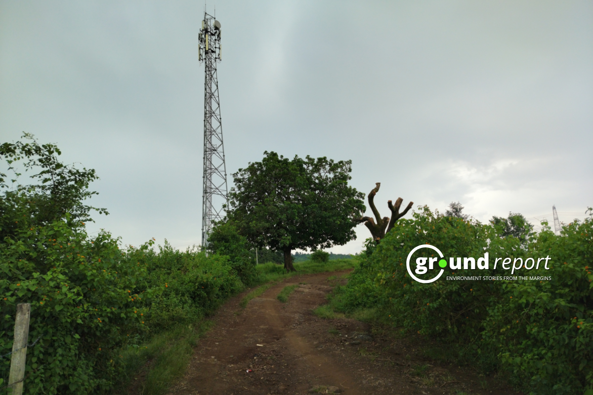 Hailstorm alert in 8 districts of Madhya Pradesh
