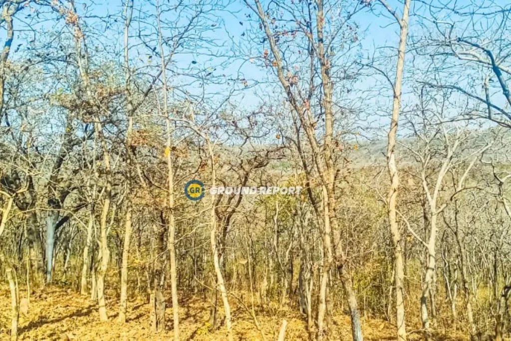 Samardha Circle