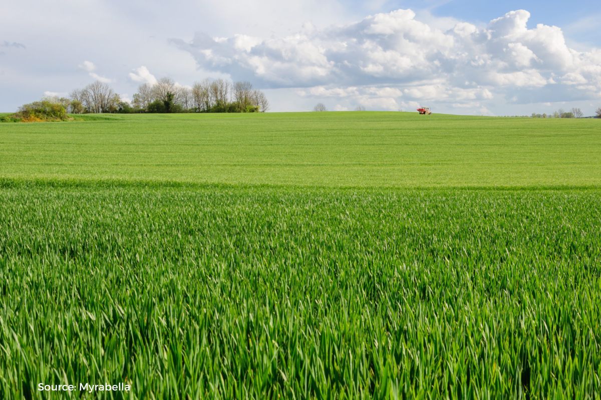 Telangana is leading in environmental performance, what are they doing?