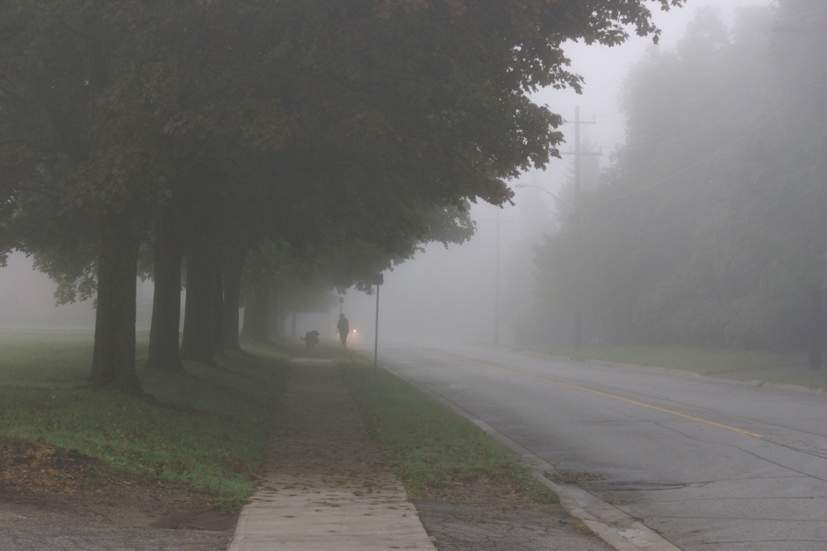 MP weather report: Severe cold wave & fog continue in Madhya Pradesh