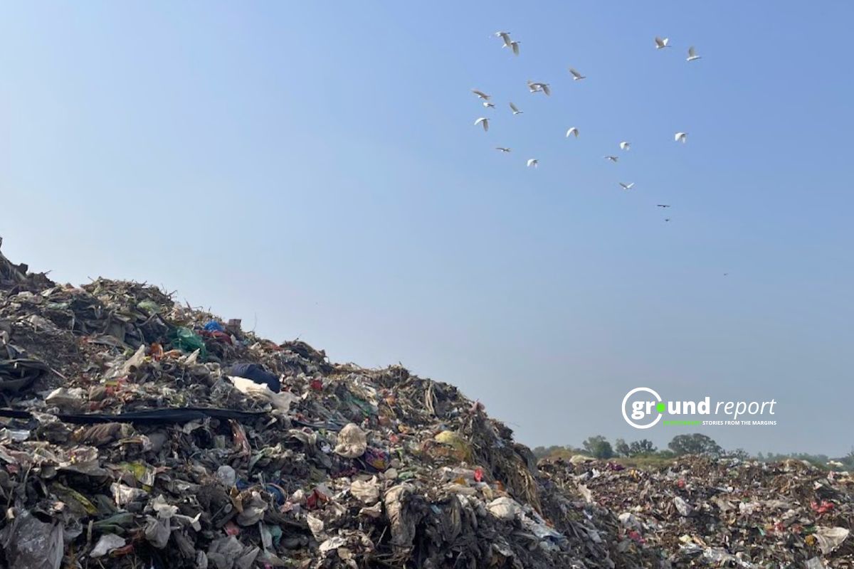 कचरे से बिजली बनाने वाले संयंत्र 'हरित समाधान' या गाढ़ी कमाई का ज़रिया?