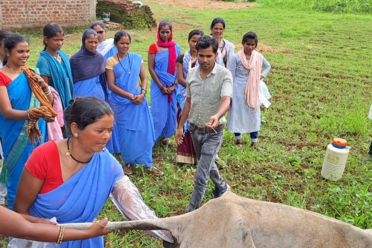 Pashu Sakhis work to improve the poor veterinary system in MP