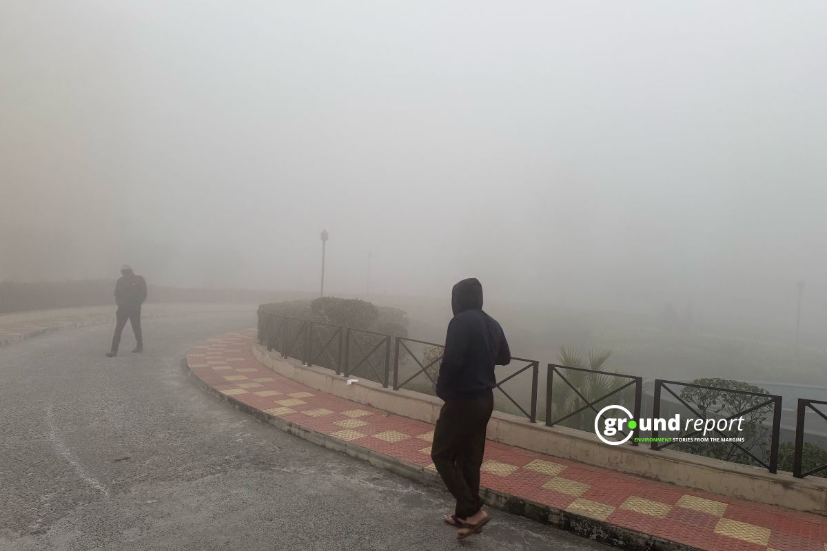 Dense Fog Blankets Madhya Pradesh as Winter weather Tightens Its Grip