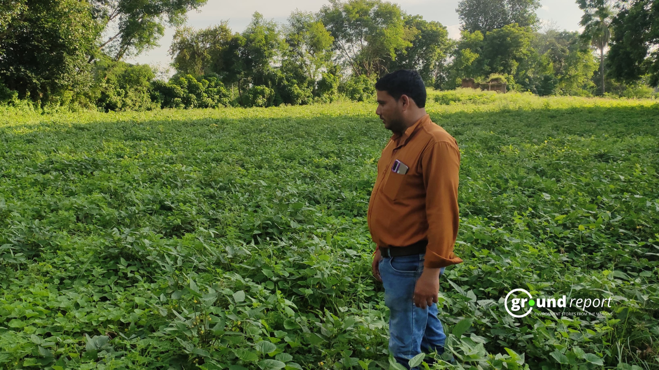 How good monsoon will help central India’s economy this year?