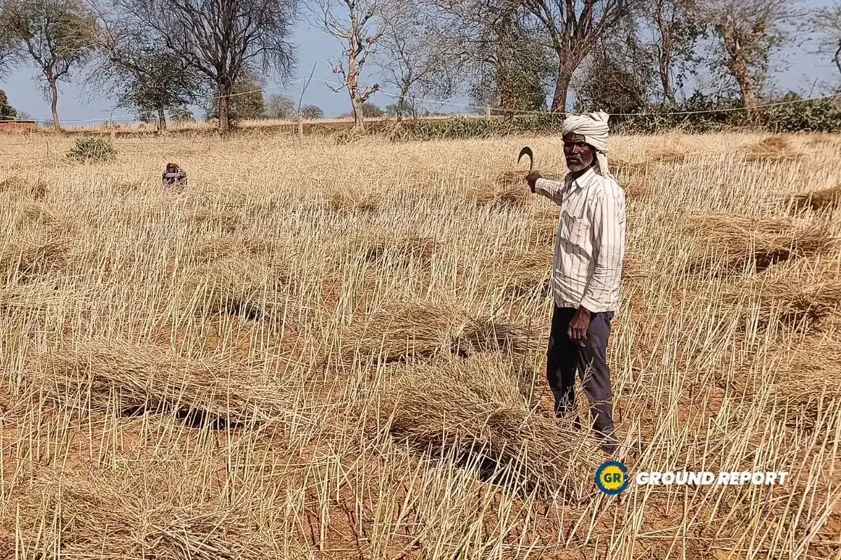 Hailstorm destroyed crops in Niwari, debt on farmers to rise
