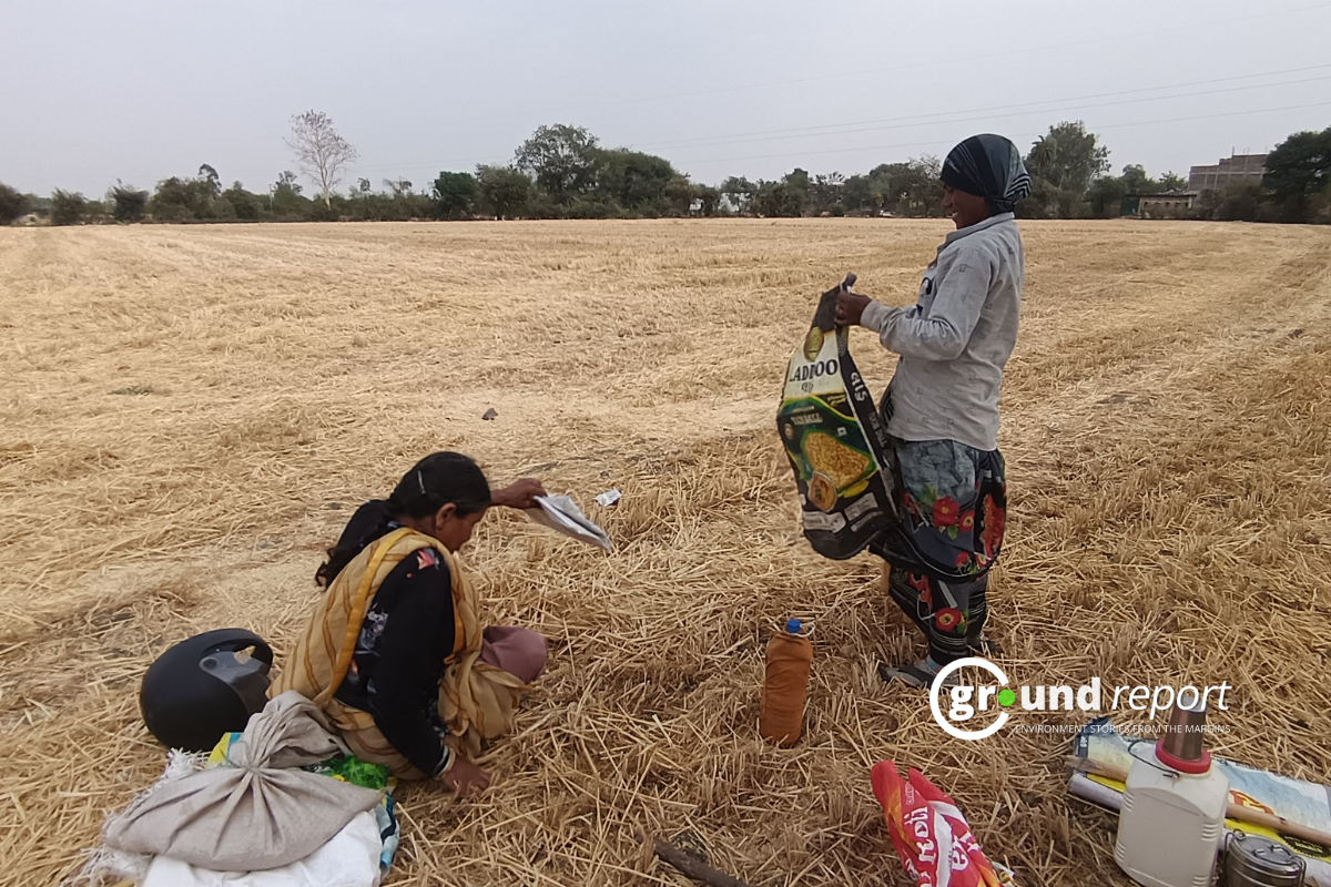 Heatwave takes a toll on women agricultural labourers in MP