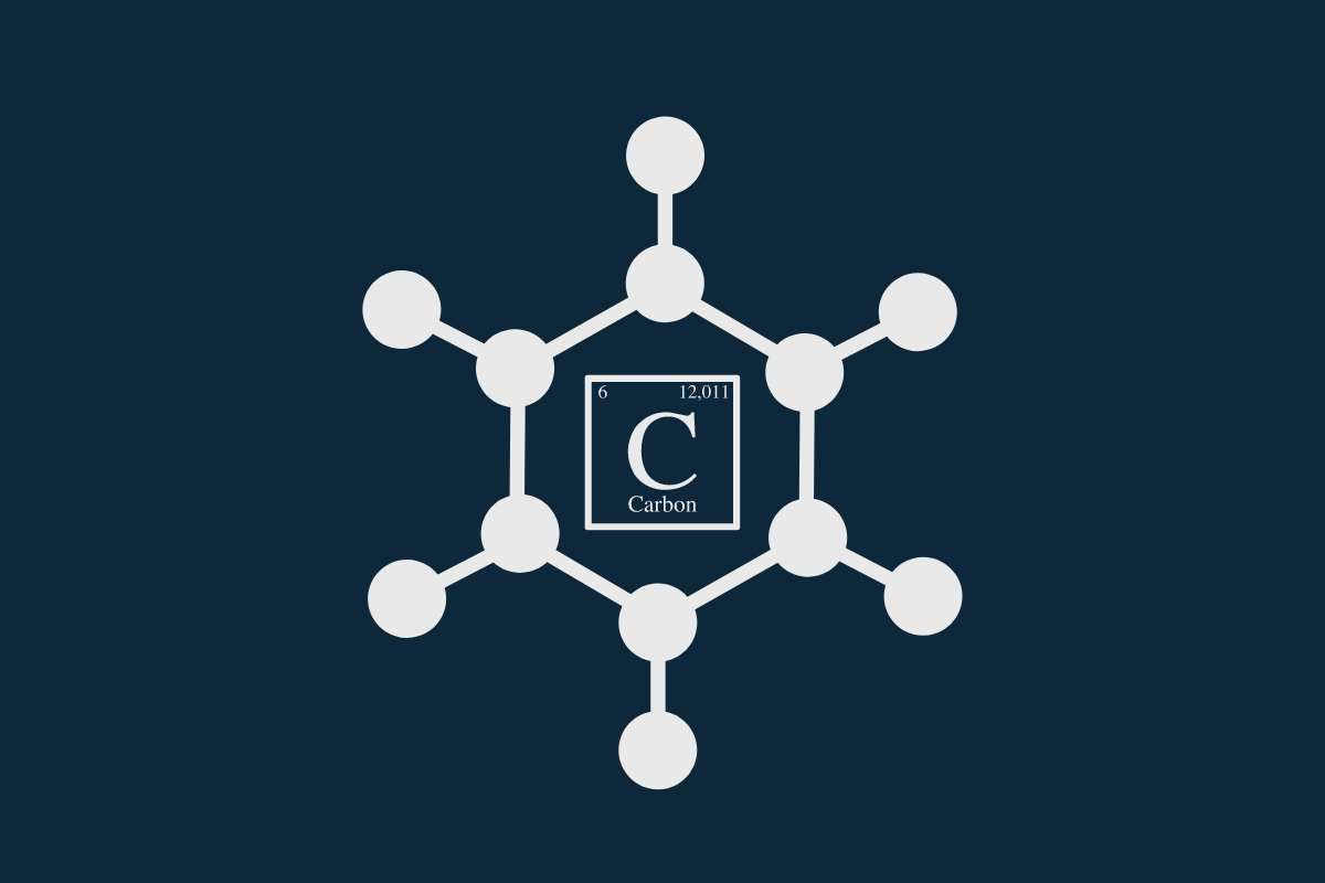 कार्बन बाज़ारों के विकास के लिए उन्हें समझना ज़रुरी:  विशेषज्ञ