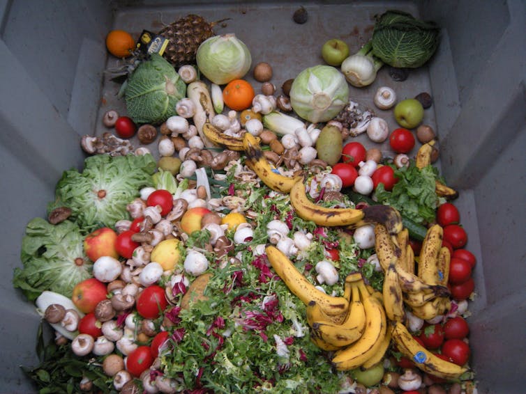 A pile of discarded vegetables at the bottom of a skip bin.