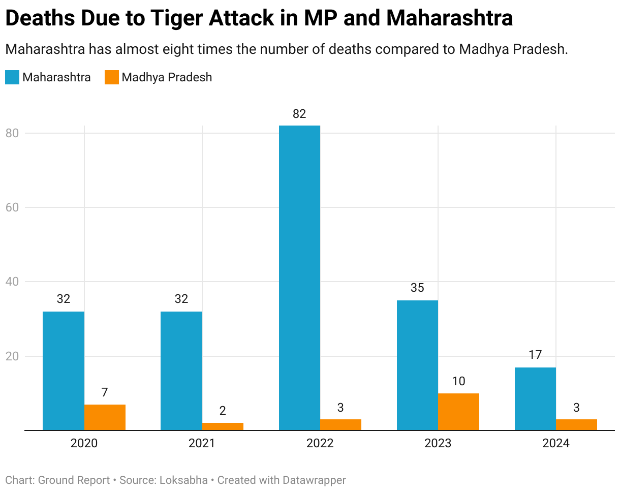 Deaths Due to Tiger Attack in MP and Maharashtra (Grouped column chart)