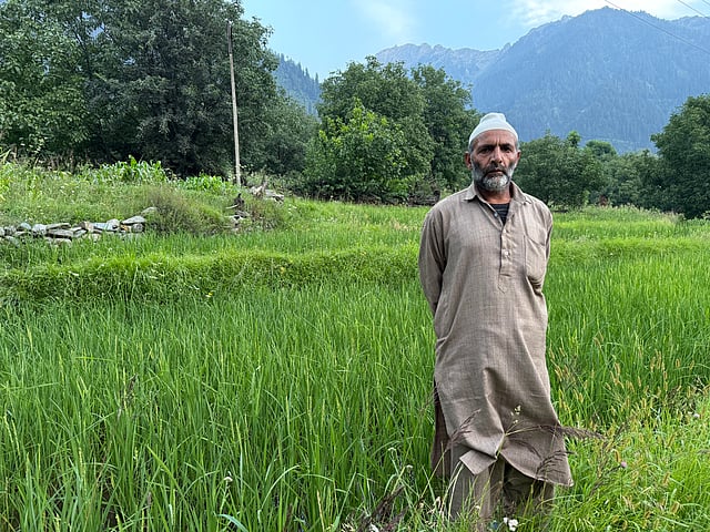 Ayoub Lone, 57, is a living link to a farming tradition that is slowly disappearing. He stands in his rice field, a green space that is becoming rarer in the valley.